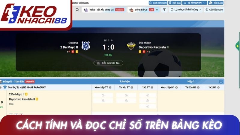 Tỷ Lệ Cược Indo: Giải Thích Cách Xem Và Phân Tích Đầy Đủ 4 Cách tính và đọc chỉ số trên bảng kèo dễ hiểu